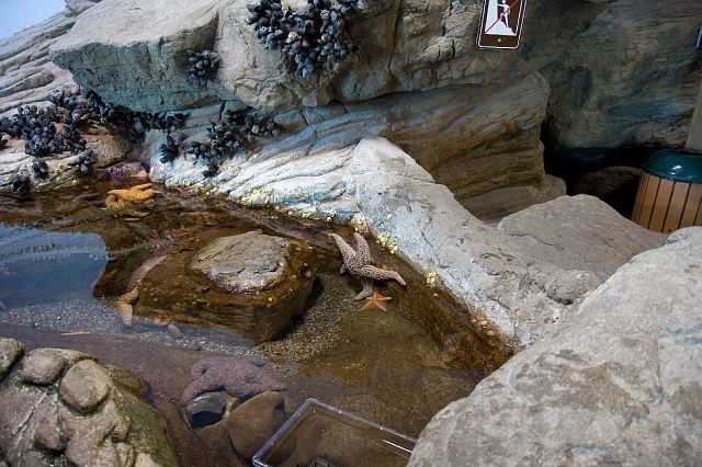_MG_6631.jpg