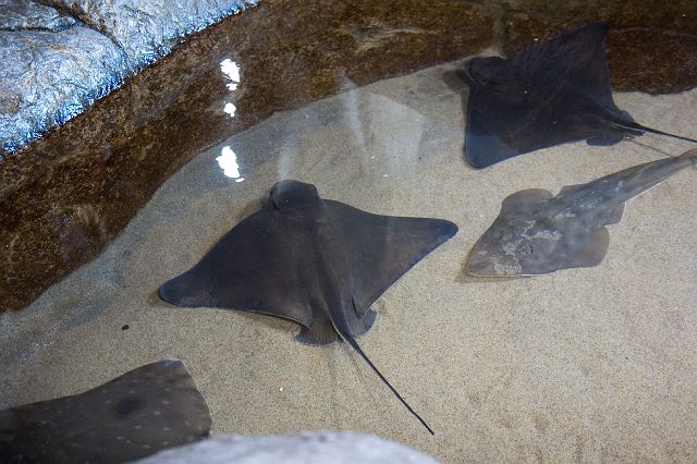 _MG_6635.jpg