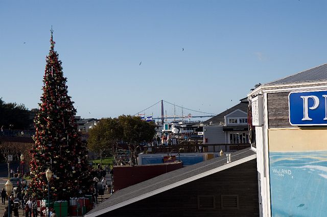 _MG_6643.jpg