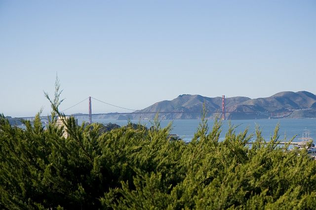 sf-11.jpg