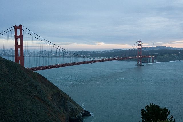 sf-239.jpg