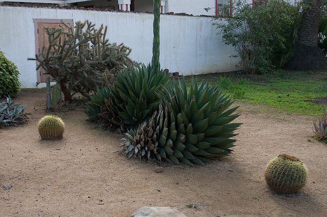 crw_0374.jpg