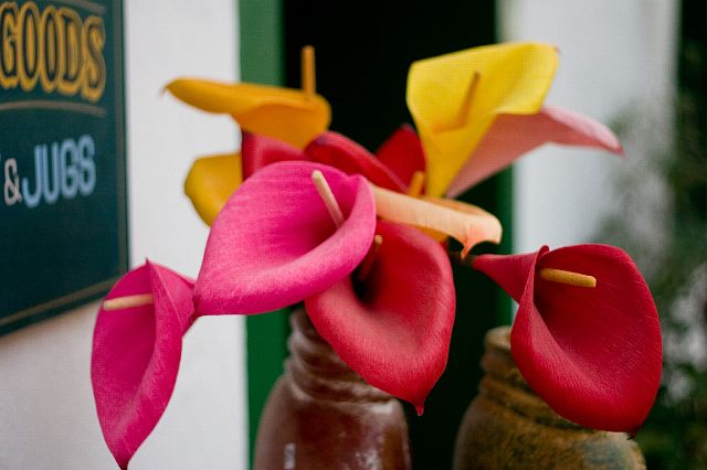 crw_0391.jpg