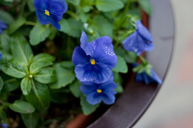 crw_0409.jpg