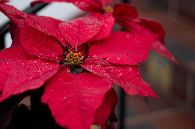 crw_0412.jpg