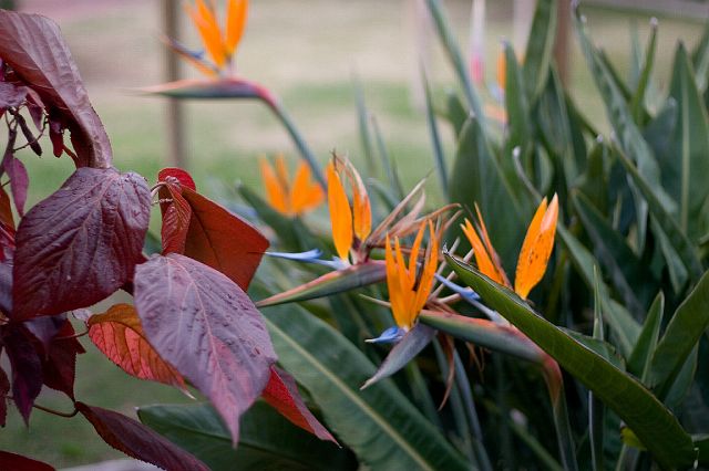 crw_0418.jpg