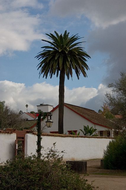 crw_0421.jpg