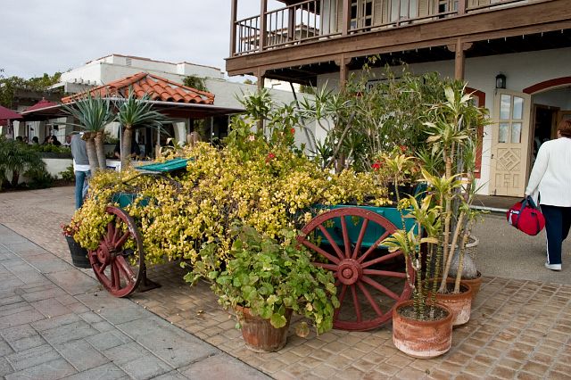 crw_0438.jpg