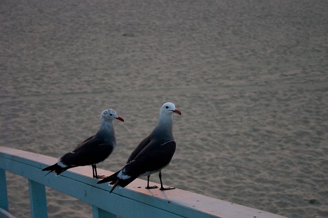 crw_4779.jpg