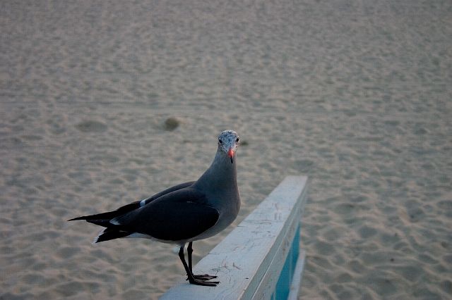 crw_4780.jpg