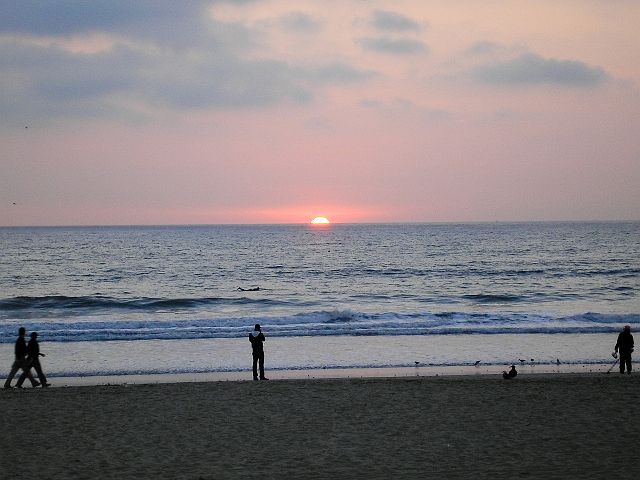 p1010028.jpg