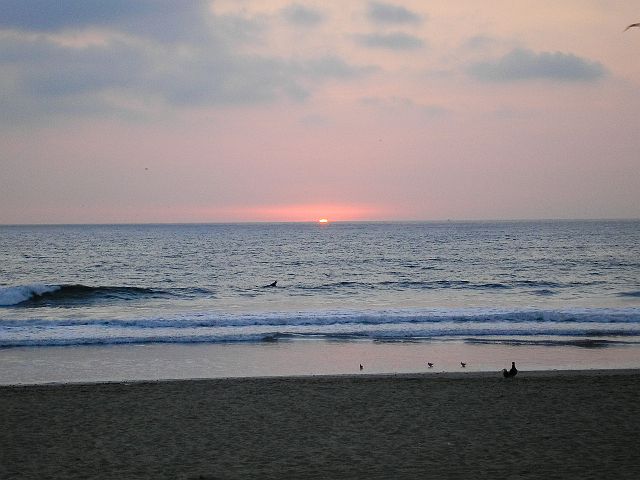 p1010029-2.jpg