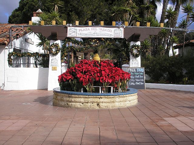 p1010058.jpg