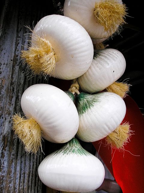 p1010082.jpg