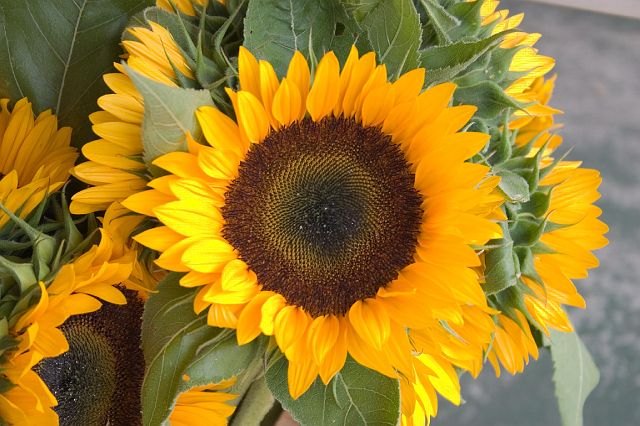 crw_0979.jpg