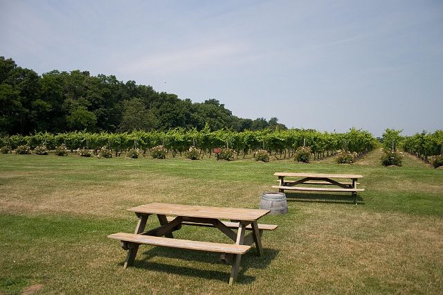crw_0983.jpg
