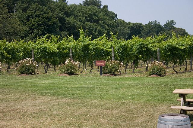 crw_0984.jpg