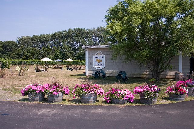 crw_0989.jpg