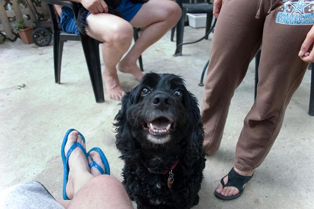 crw_1011.jpg