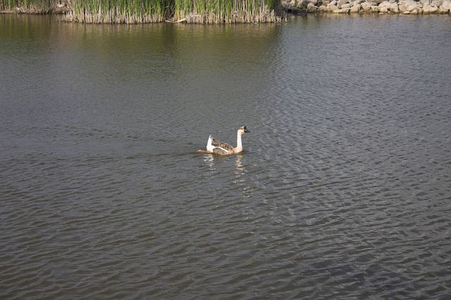 crw_0161-01.jpg
