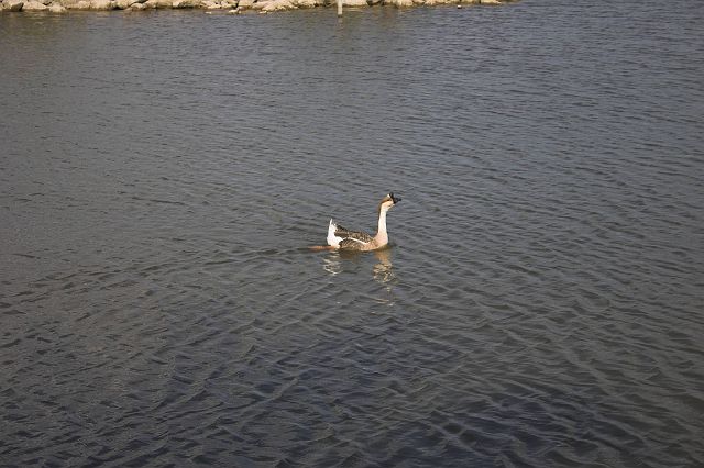 crw_0162-01.jpg