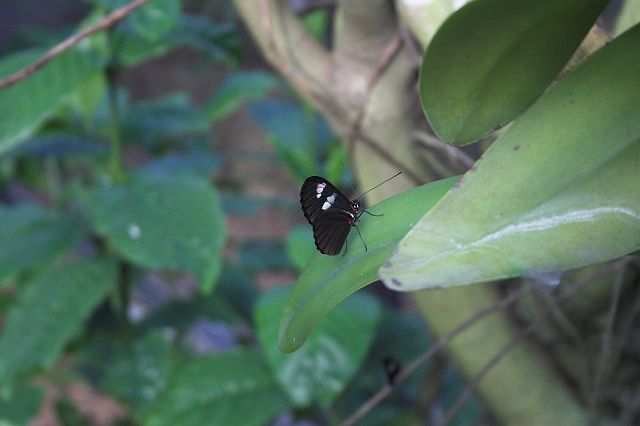 crw_0407-01.jpg