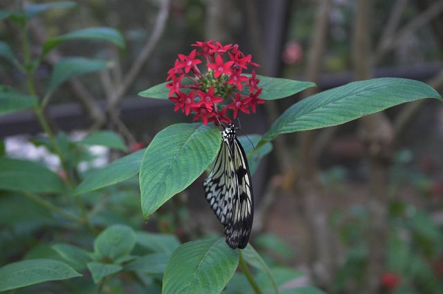 crw_0410-01.jpg