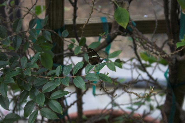 crw_0412-01.jpg