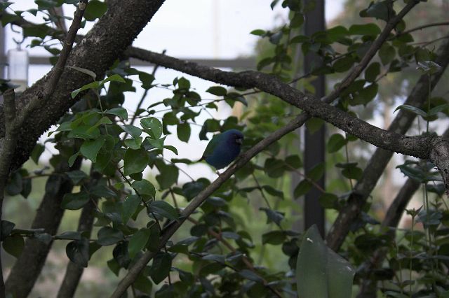 crw_0443-01.jpg