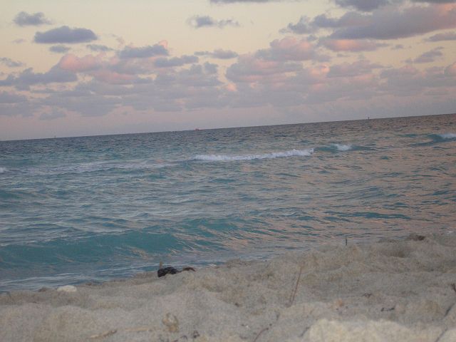 p1010028.jpg