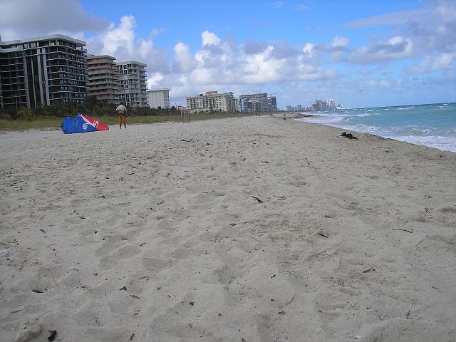 p1010060.jpg