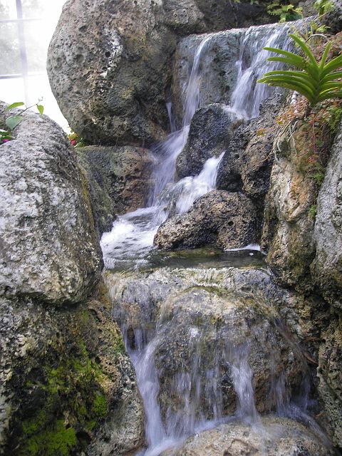 p1010068.jpg