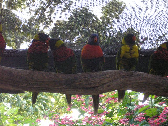p1010073.jpg