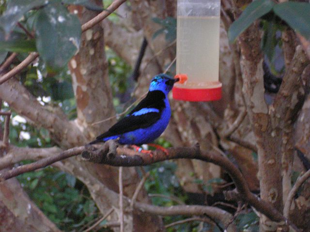 p1010076.jpg