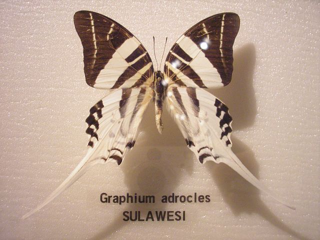 p1010081.jpg