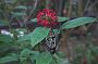 crw_0410-01