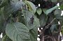 crw_0416-01