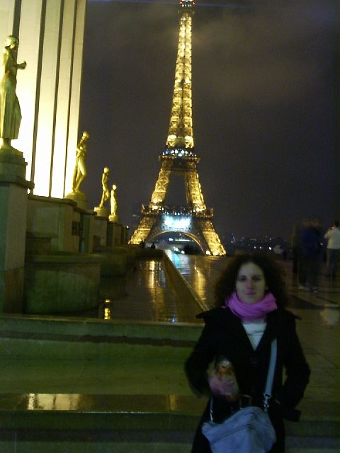 eiffel27.jpg