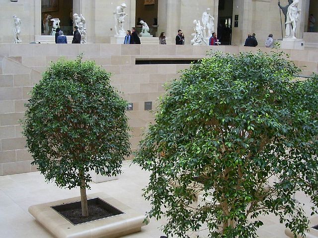 louvre63.jpg