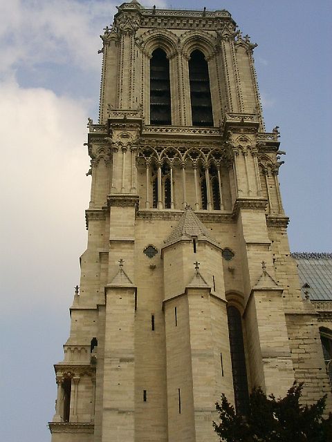 n.dame17.jpg