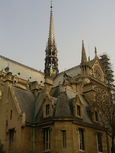 n.dame18.jpg