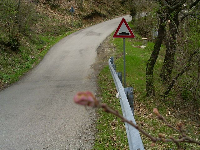 p.croce15.JPG