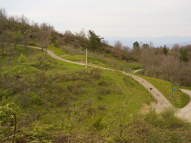 p.croce19.JPG